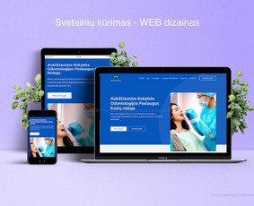 Paslaugos verslui - Svetainės, Programavimas, Api/custom Sprendimai - 2
